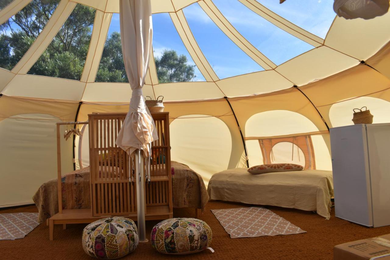 Vesterlyng Camping And Cottages Føllenslev Extérieur photo