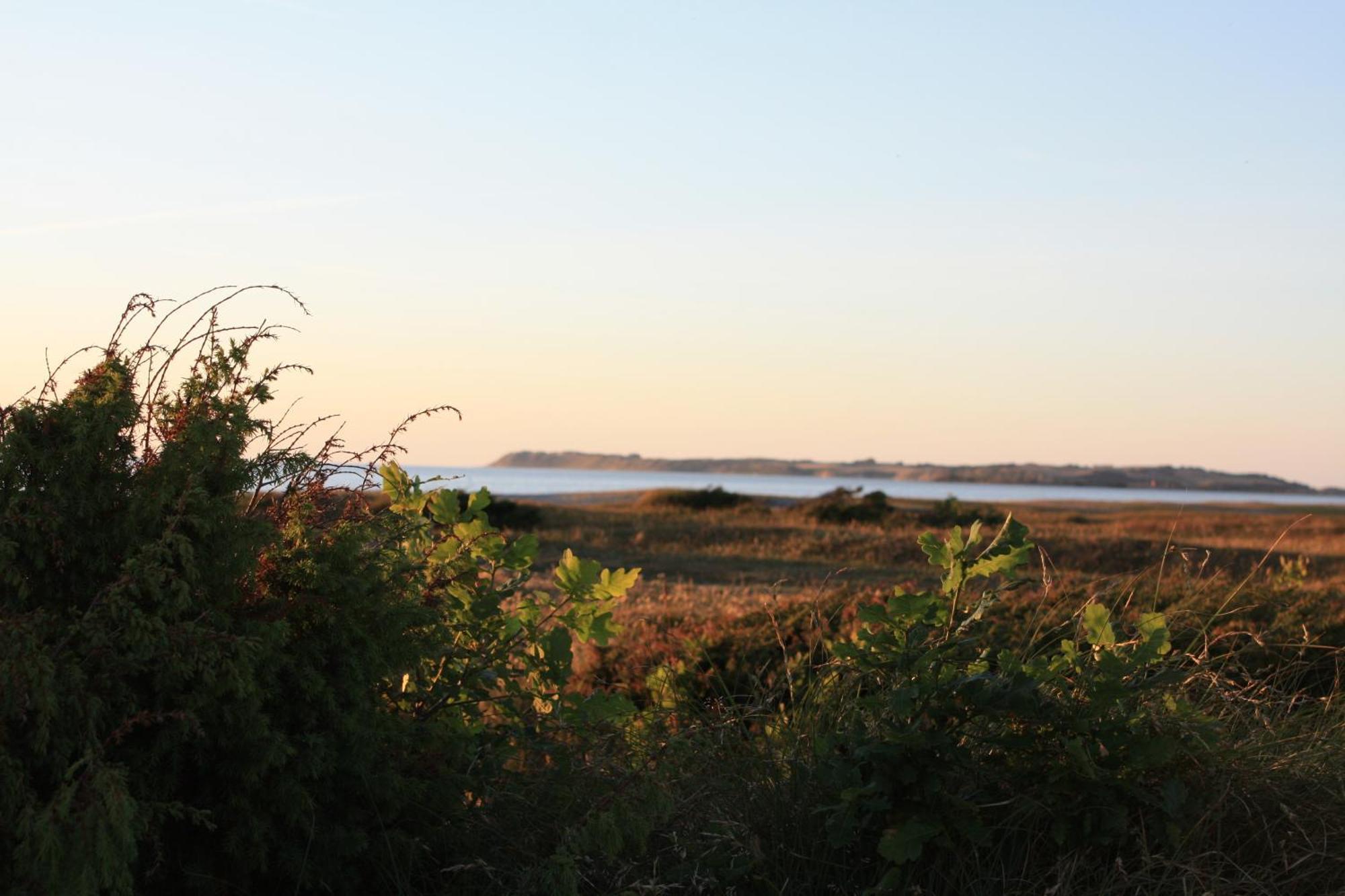 Vesterlyng Camping And Cottages Føllenslev Extérieur photo
